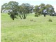 1159 Binda Road, Crookwell NSW 2583