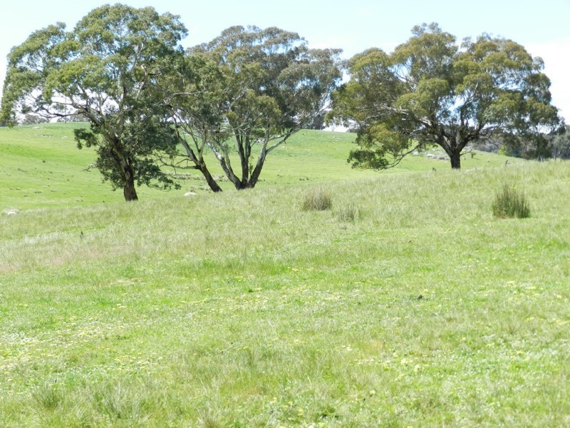 1159 Binda Road, Crookwell NSW 2583