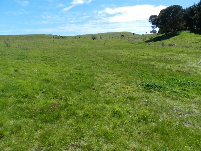 1159 Binda Road, Crookwell NSW 2583