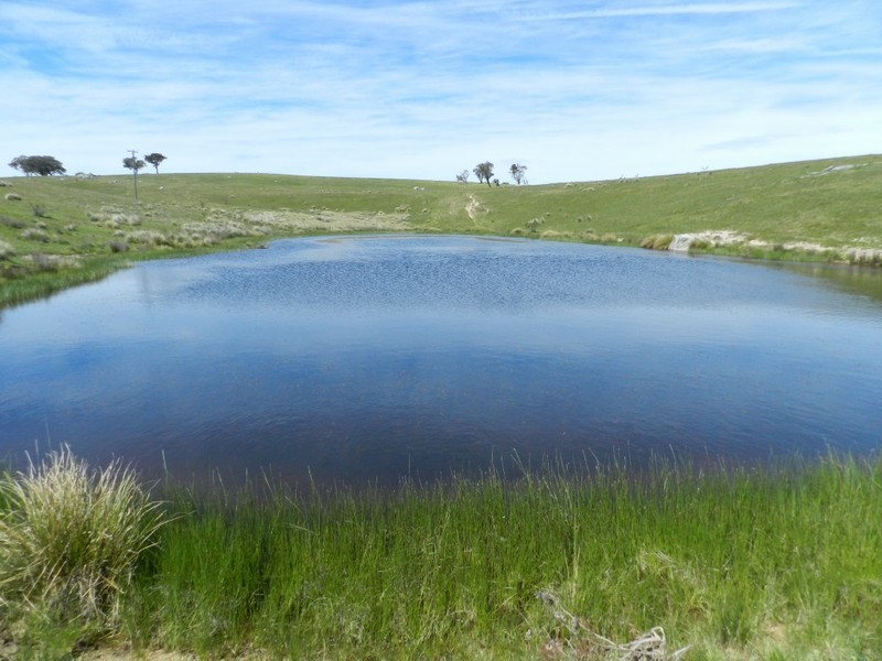 1159 Binda Road, Crookwell NSW 2583