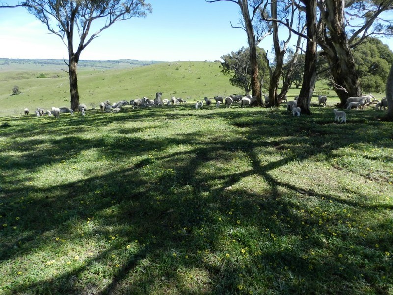 1159 Binda Road, Crookwell NSW 2583