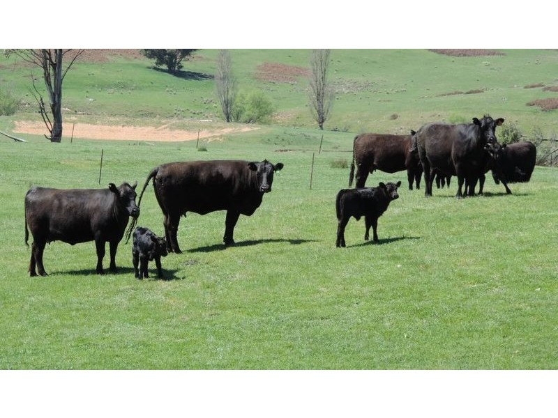 0 Clarke Road, Laggan NSW 2583