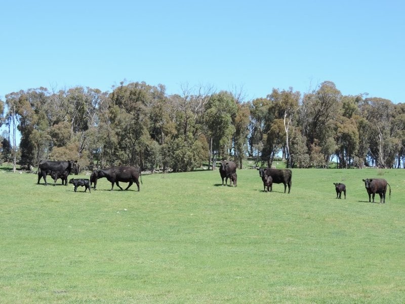 0 Clarke Road, Laggan NSW 2583