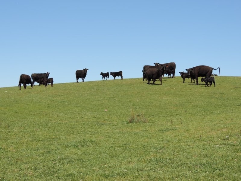 0 Clarke Road, Laggan NSW 2583