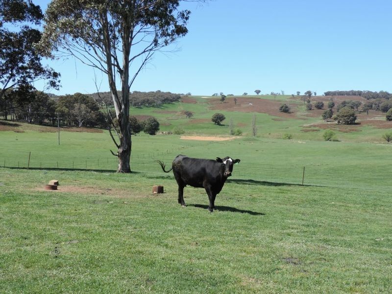 0 Clarke Road, Laggan NSW 2583