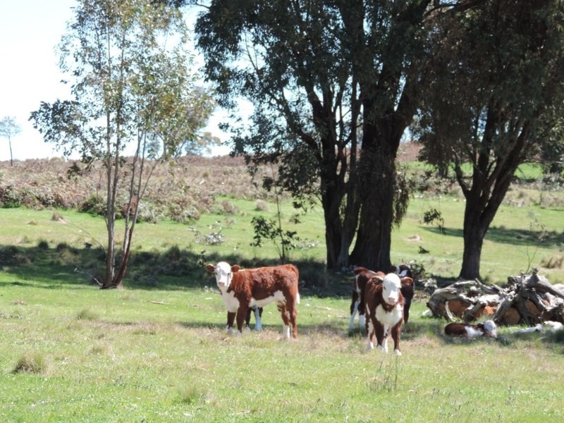 0 Clarke Road, Laggan NSW 2583