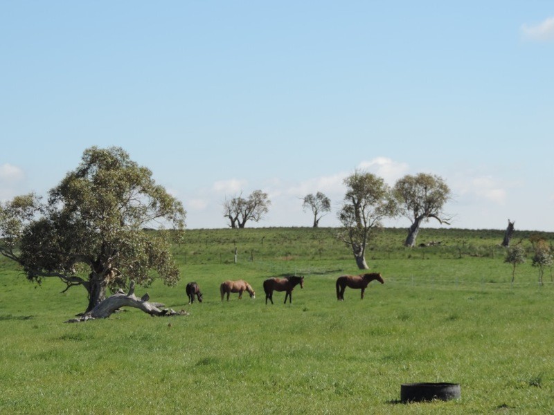 75 Telegraph Hill Road, Collector NSW 2581