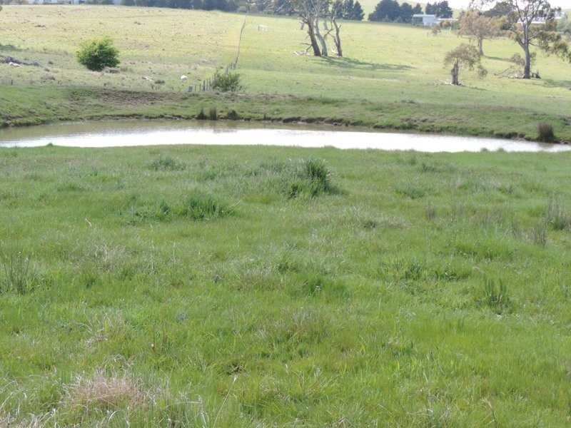 75 Telegraph Hill Road, Collector NSW 2581