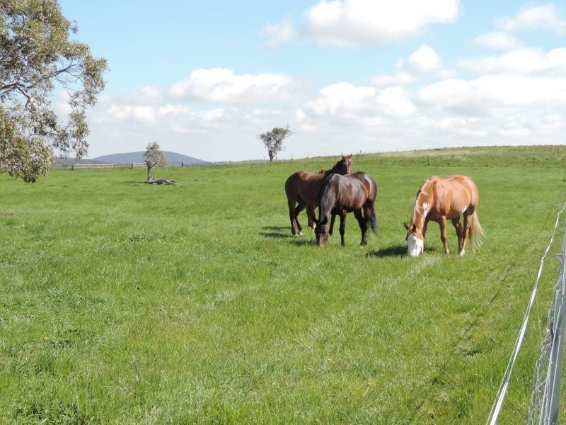 75 Telegraph Hill Road, Collector NSW 2581