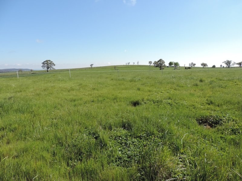 75 Telegraph Hill Road, Collector NSW 2581