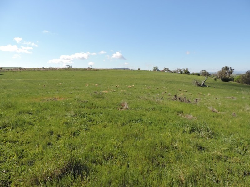 75 Telegraph Hill Road, Collector NSW 2581