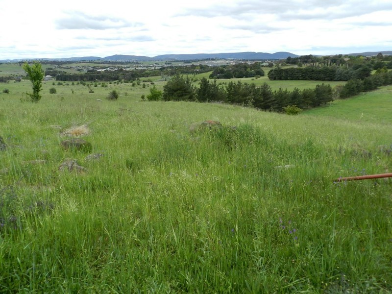 279 Wheeo Road Off Clinton Street, Goulburn NSW 2580