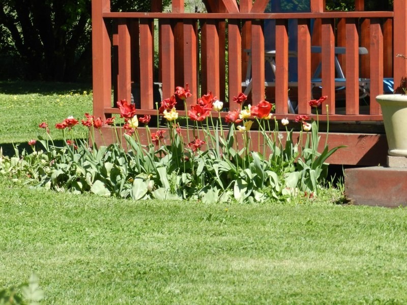 Kendarah Wade Street, Crookwell NSW 2583