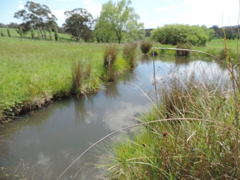 735 Bridge Creek Road, Binda NSW 2583