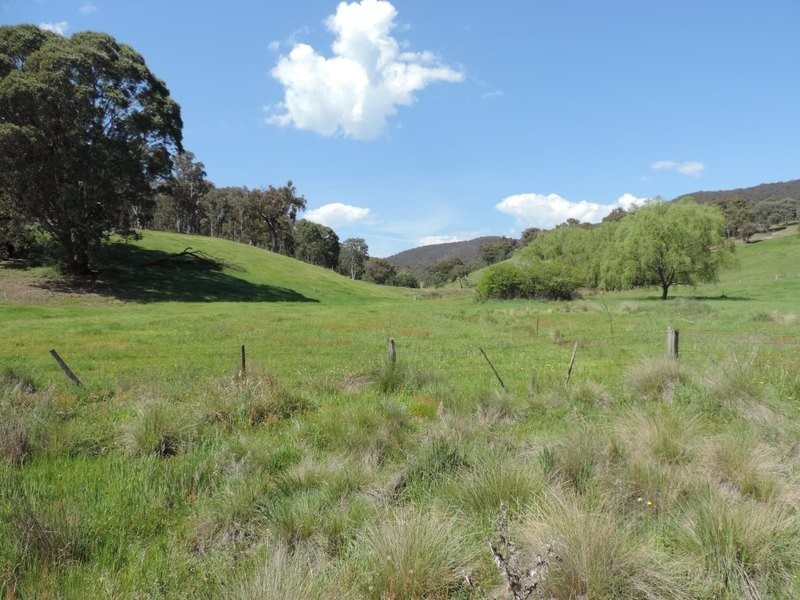 735 Bridge Creek Road, Binda NSW 2583