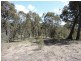 735 Bridge Creek Road, Binda NSW 2583