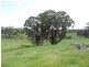 735 Bridge Creek Road, Binda NSW 2583
