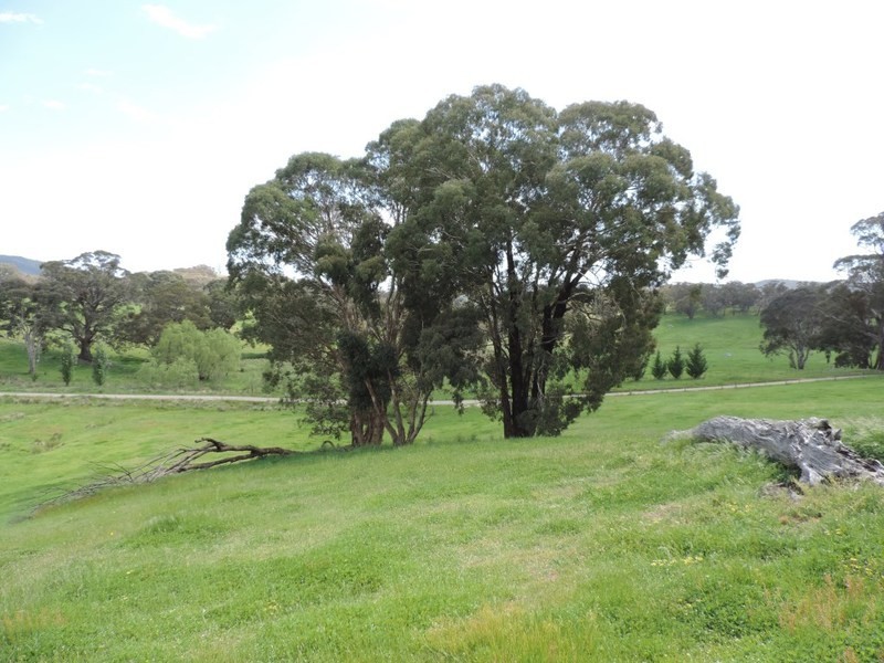 735 Bridge Creek Road, Binda NSW 2583