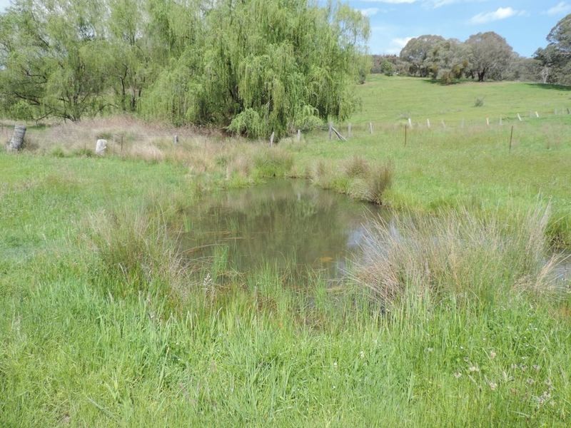 735 Bridge Creek Road, Binda NSW 2583