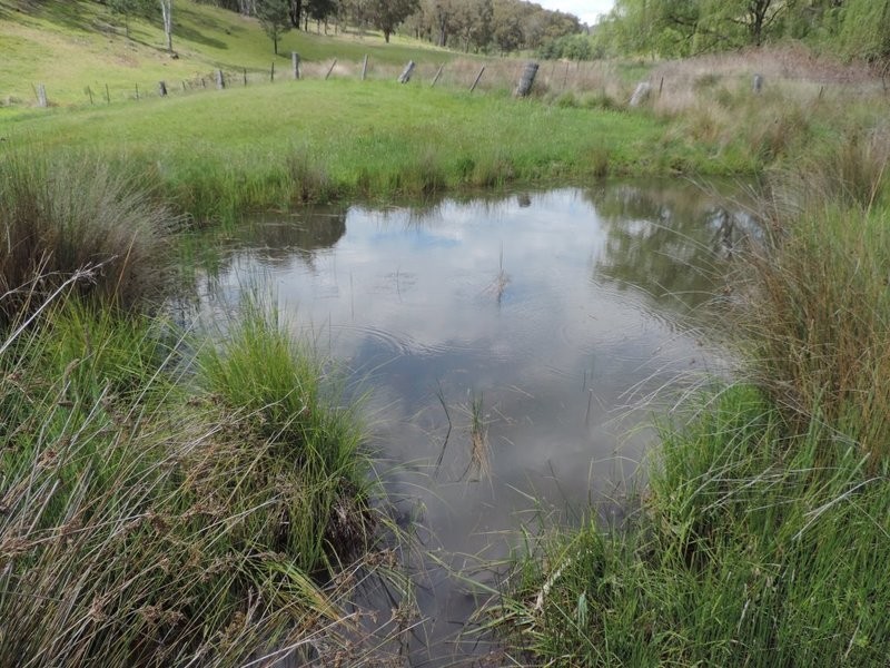 735 Bridge Creek Road, Binda NSW 2583
