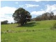 735 Bridge Creek Road, Binda NSW 2583