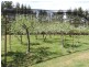 5454 Oallen Ford Road, Bungonia NSW 2580