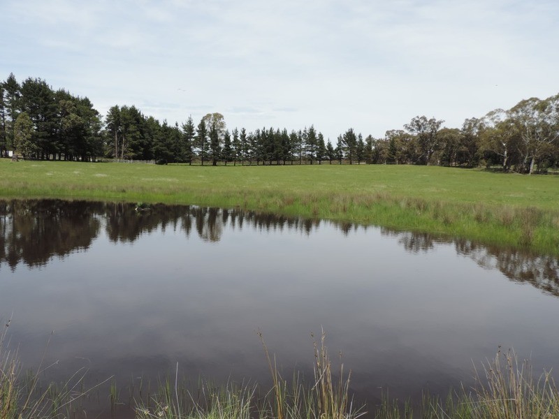 5454 Oallen Ford Road, Bungonia NSW 2580