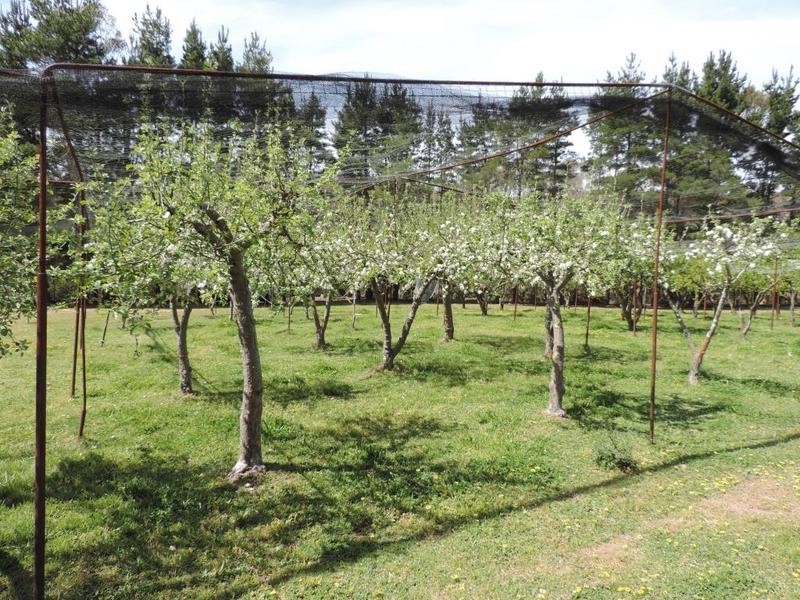 5454 Oallen Ford Road, Bungonia NSW 2580