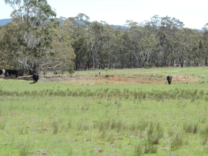 5454 Oallen Ford Road, Bungonia NSW 2580