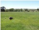 Lot 4 Martyn Street, Taralga NSW 2580