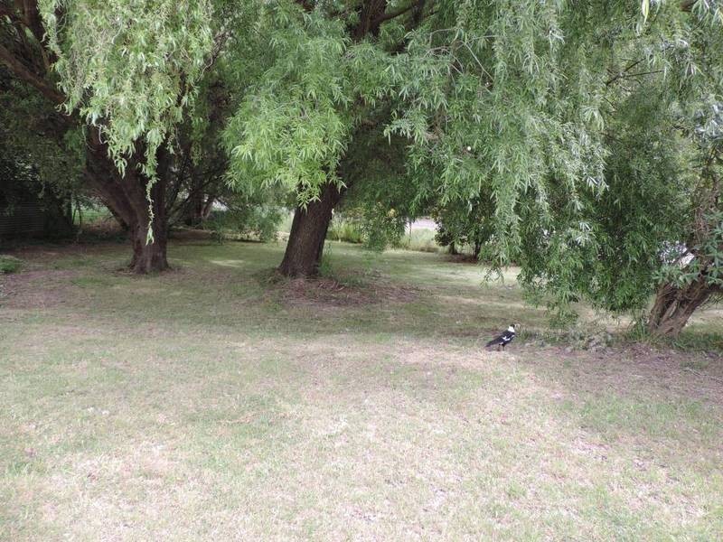 45 Northcott Street, Crookwell NSW 2583