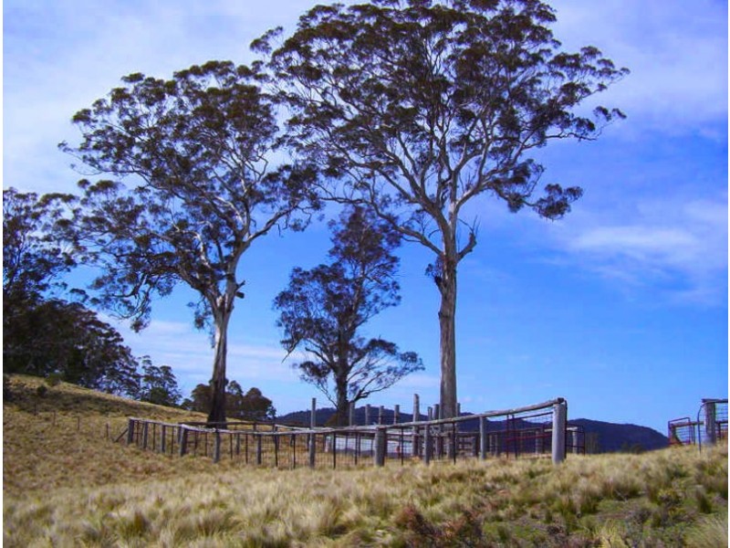 391 Rocklilly Road, Wombeyan Caves NSW 2580