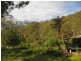 391 Rocklilly Road, Wombeyan Caves NSW 2580