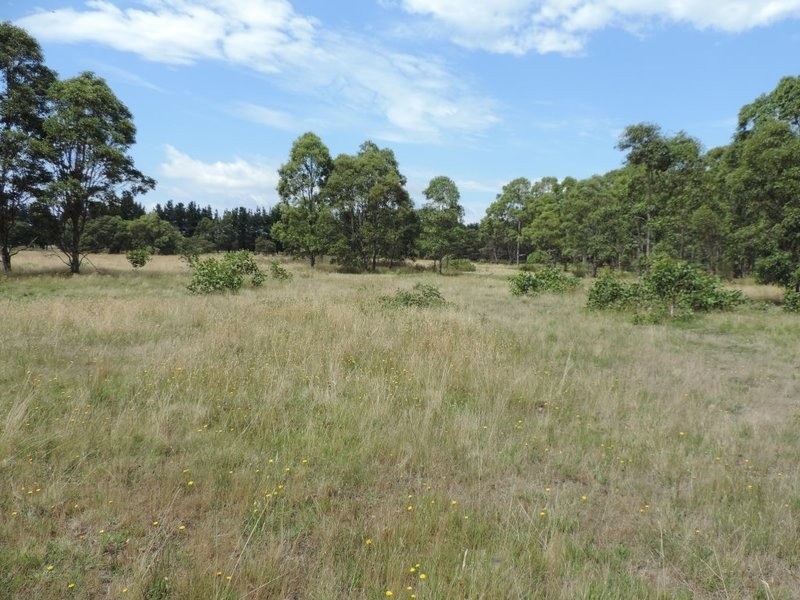 133 Badgerys Lookout Road, Tallong NSW 2579