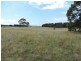 133 Badgerys Lookout Road, Tallong NSW 2579