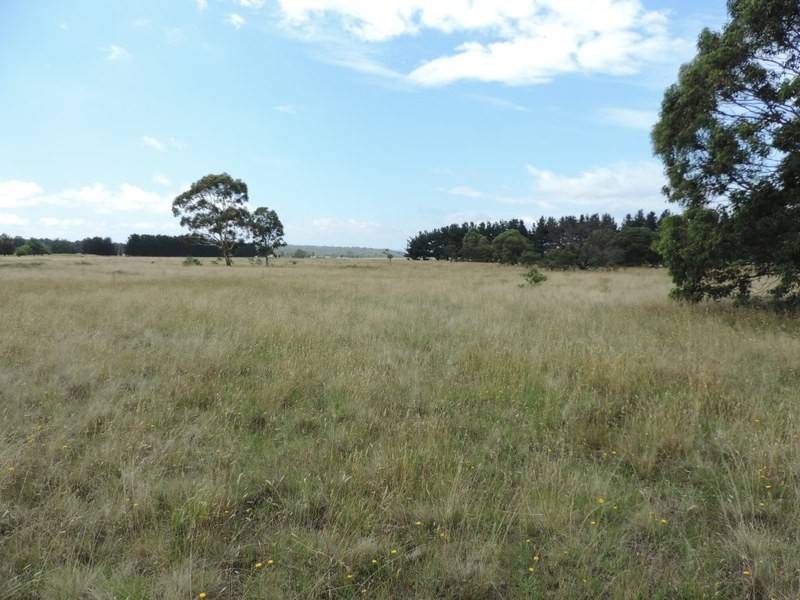 133 Badgerys Lookout Road, Tallong NSW 2579