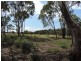 133 Badgerys Lookout Road, Tallong NSW 2579