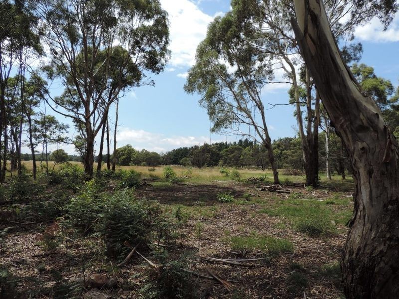 133 Badgerys Lookout Road, Tallong NSW 2579