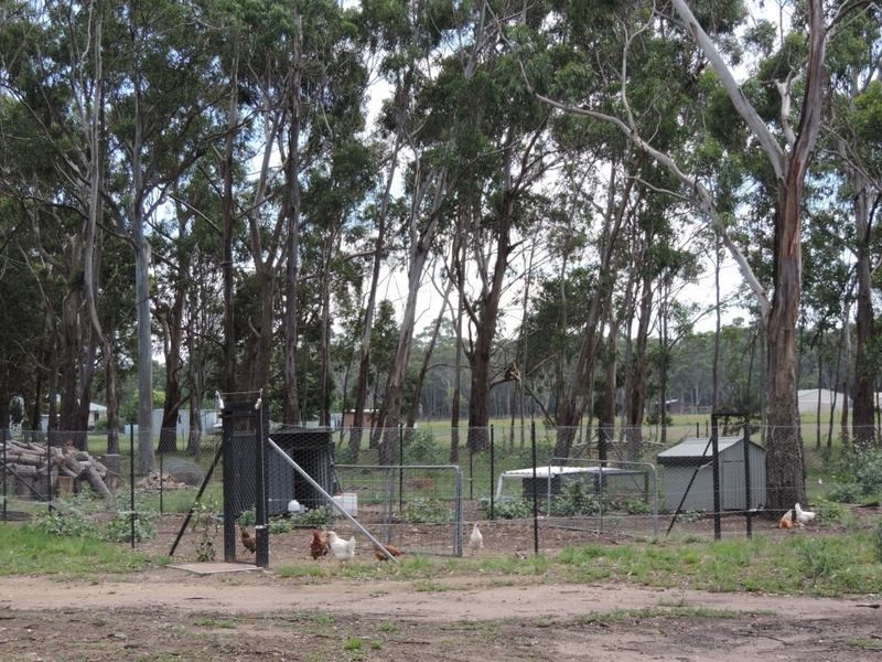 133 Badgerys Lookout Road, Tallong NSW 2579