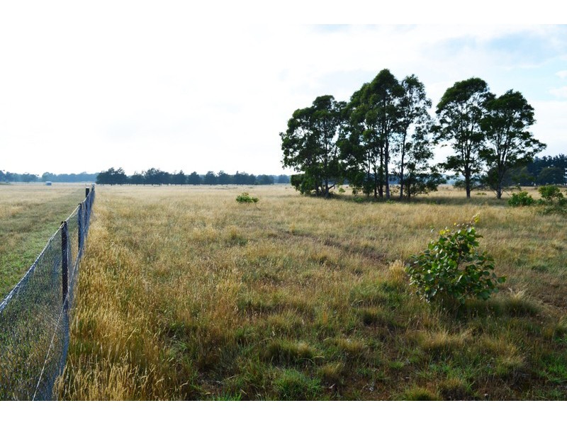 133 Badgerys Lookout Road, Tallong NSW 2579