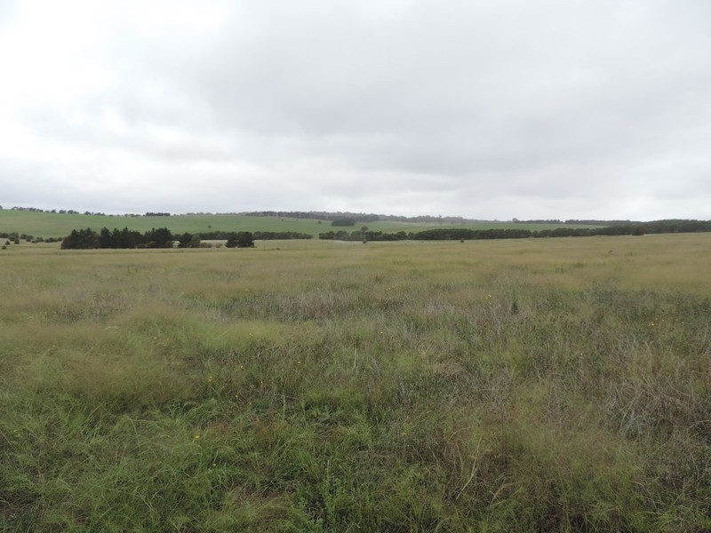 Lot 6 Wollon Hill Estate, Goulburn NSW 2580