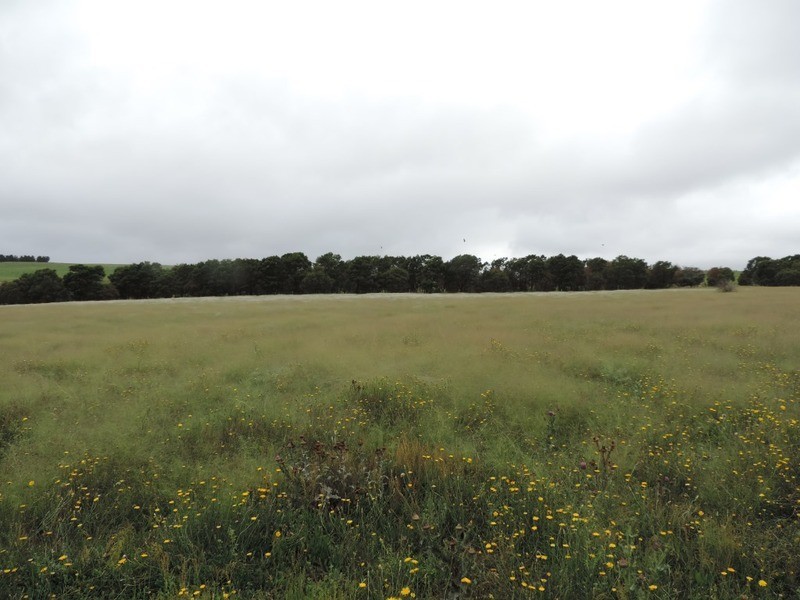 Lot 6 Wollon Hill Estate, Goulburn NSW 2580