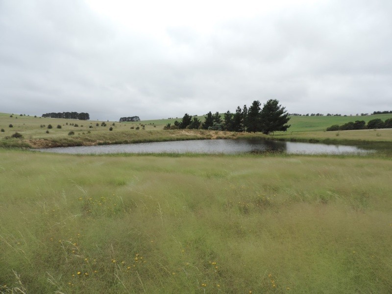 Lot 6 Wollon Hill Estate, Goulburn NSW 2580