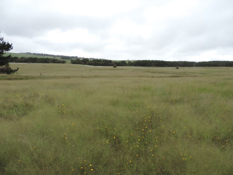 Lot 6 Wollon Hill Estate, Goulburn NSW 2580