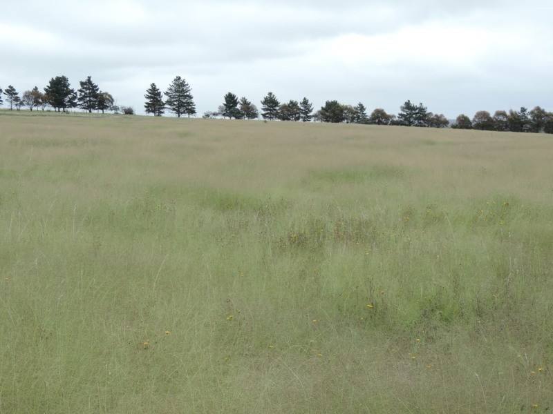 Lot 6 Wollon Hill Estate, Goulburn NSW 2580