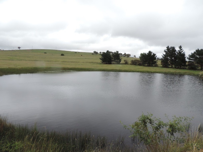 Lot 6 Wollon Hill Estate, Goulburn NSW 2580