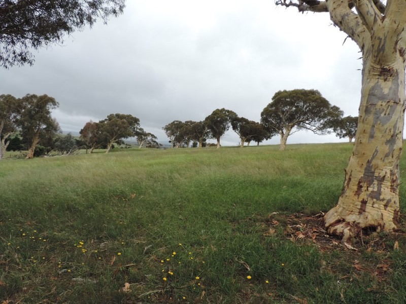 Lot 2 Wollon Hill Estate, Goulburn NSW 2580