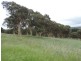 Lot 2 Wollon Hill Estate, Goulburn NSW 2580