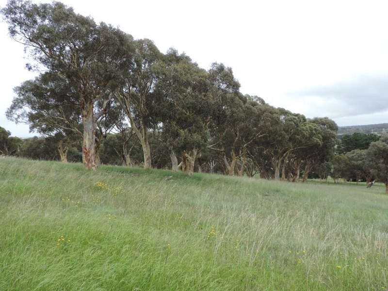 Lot 2 Wollon Hill Estate, Goulburn NSW 2580