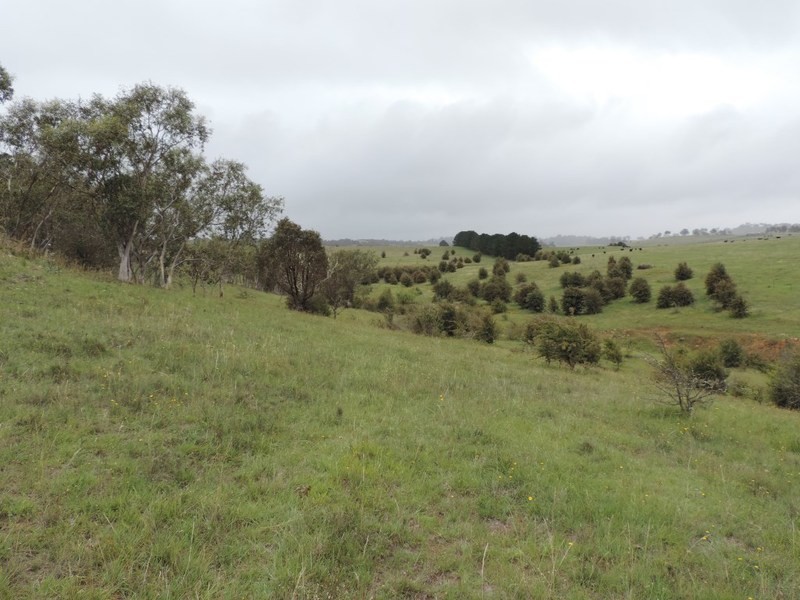 Lot 2 Wollon Hill Estate, Goulburn NSW 2580